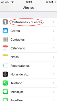 ios-contrasenas-y-cuentas IOS Contraseñas y cuentas